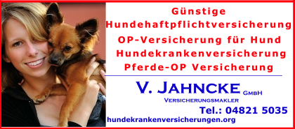 Hundekrankheiten